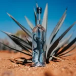 – Espíritu de Oaxaca